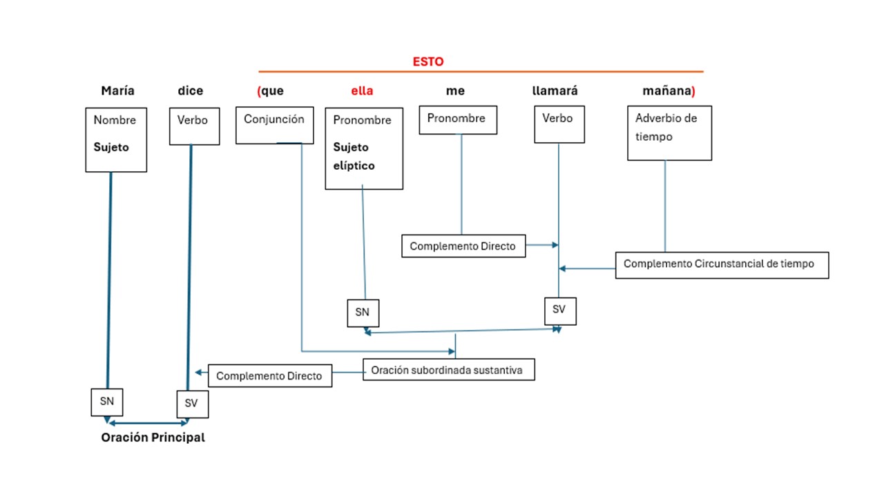 Ejemplo de análisis morfológico y sintáctico de una oración subordinada sustantiva de complemento directo